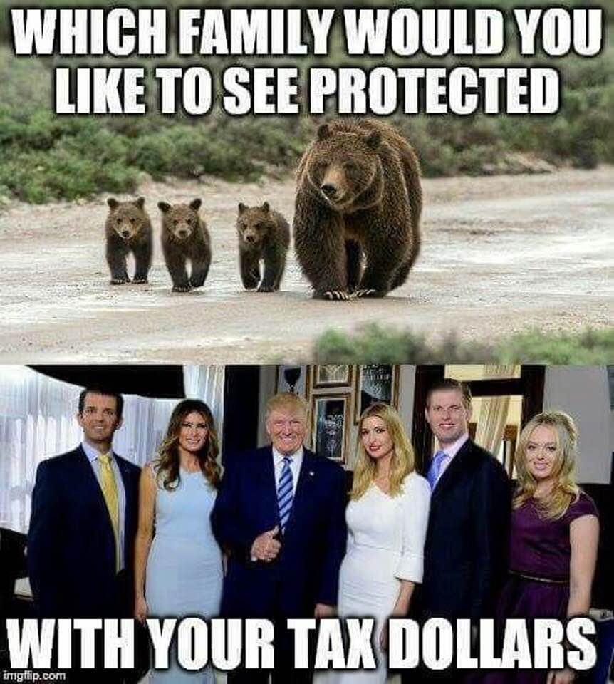 MargTennier's tweet photo. @realDonaldTrump https://t.co/v8ZHz0CQCV