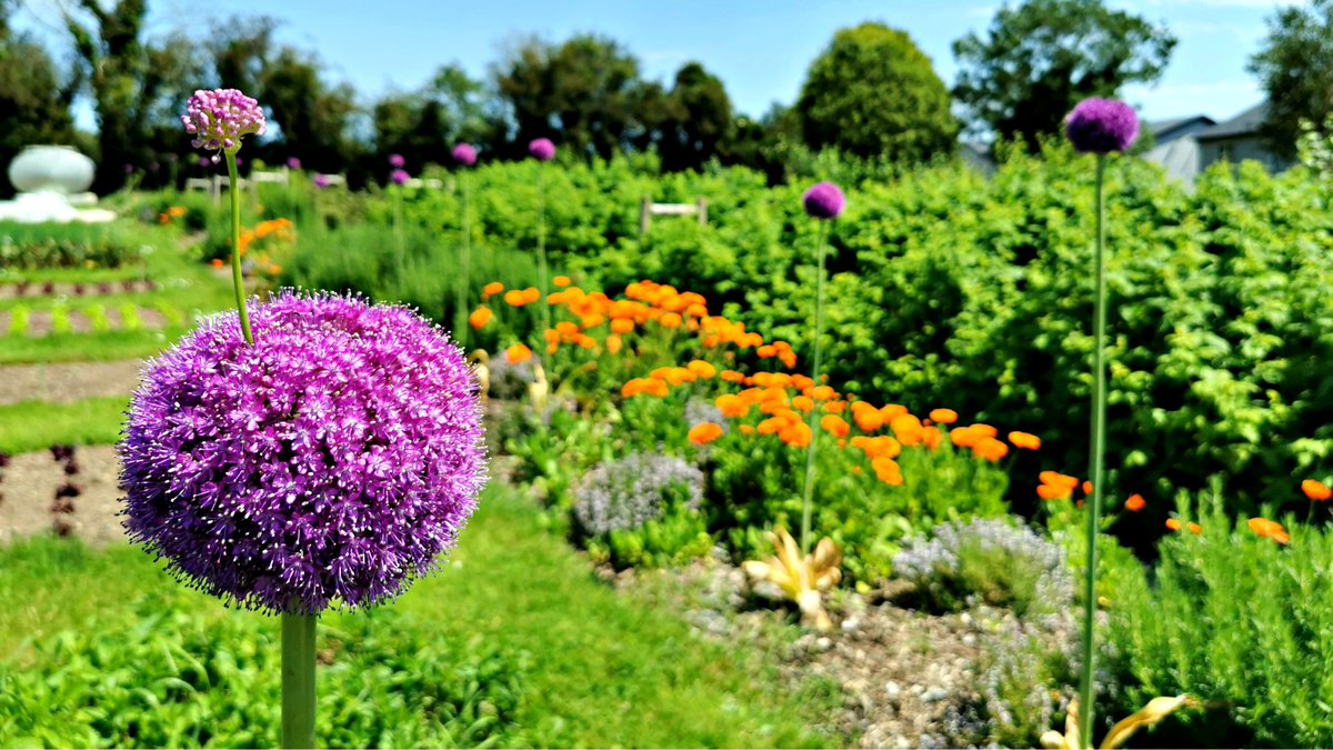 Up next: Mary’s Organic Garden at <a href="/WoodlandsHouse/">Fitzgeralds Woodlands House Hotel & Spa</a>  in the picturesque village of Adare, Co. Limerick.  Mary Fitzgerald &amp; gardener Caoimhin Brosnan will be joined by Ciaran Burke from <a href="/johnstownjim/">johnstownjim</a> shortly to answer your questions.  

Thank you <a href="/johnstownjim/">johnstownjim</a>  for supporting this.
