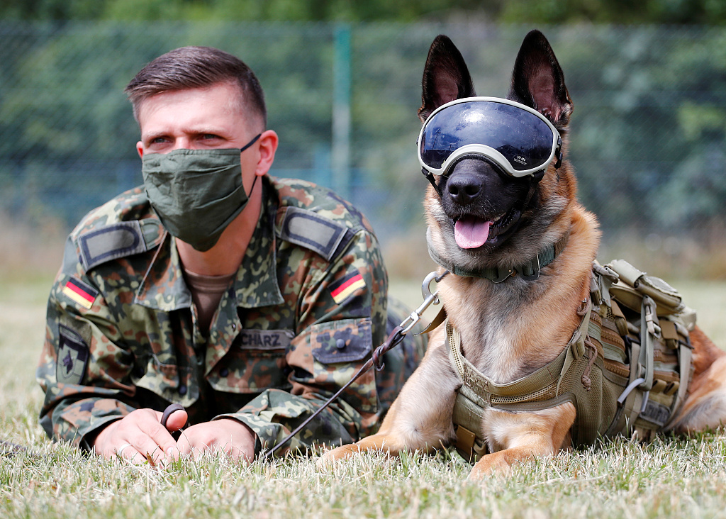 CGTNOfficial's tweet photo. #German army trained dogs are able to accurately identify #coronavirus with a 94% success rate within one week of training, according to a pilot project led by the University of Veterinary Medicine Hanover. #COVID19 https://t.co/3Fqx4GKerz