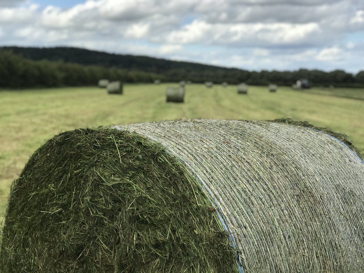 It’s that busy time again on the farm!
Our second cut of grass is being baled today and will be stored away and then fed to the cattle over the winter period.

#farming #farmtofork #britishfarming #Farm24 #silage2020 #officeview #countryside #hopwaswoods #farmshop
