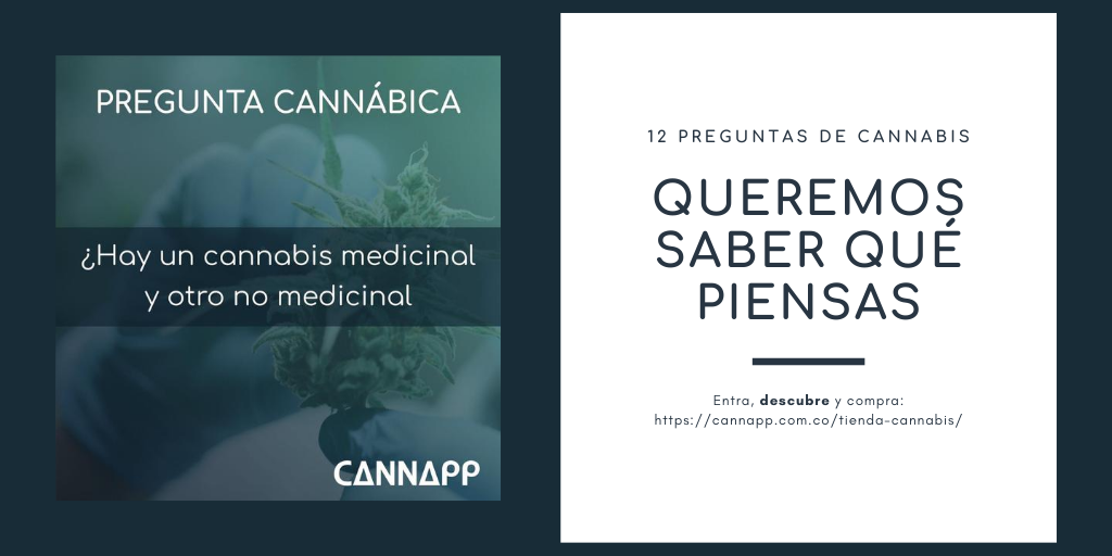 CannappColombia's tweet photo. Hoy traemos otra de las preguntas que recibimos constantemente en CANNAPP

¿Creen que existe un tipo de cannabis que tiene efectos medicinales y otro que tiene efectos psicoactivos? 

Respondemos esta y más preguntas frecuentes sobre cannabis en este link

https://t.co/s0IB76tIfb https://t.co/DEmUX55KIh