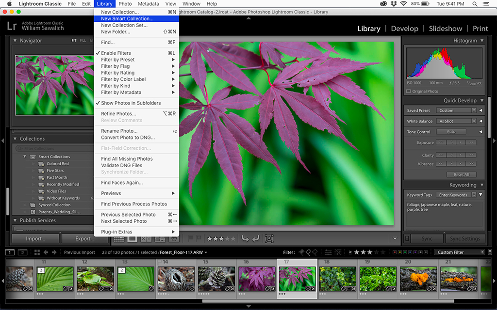 DPMagazine's tweet image. Take sorting and organizing image files to the next level with Smart Collections. #Lightroom #SmartCollections
dpmag.com/how-to/tip-of-…