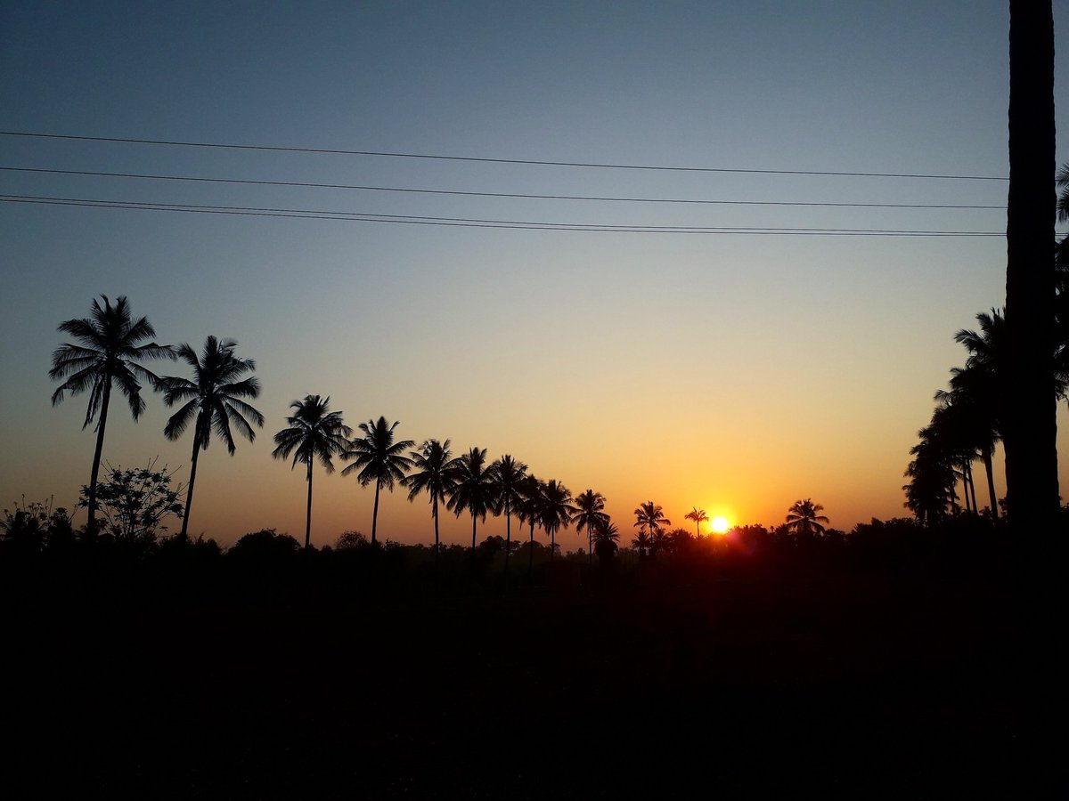 03Shreyas's tweet photo. #nature #photography #naturephotography #travel #love #photooftheday #landscape #instagood #naturelovers #beautiful #picoftheday #photo #sunset #art #instagram #wildlife #travelphotography #svit_camera #mountains #summer #naturelover #hiking #shreyas03_photography https://t.co/chTq9dtR9a