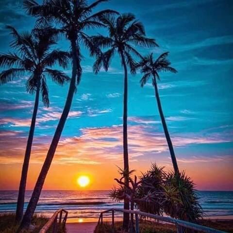indzaiirachel's tweet photo. Sunset lovers won’t ignore this 🧡🌴 https://t.co/z8flkPfVlY