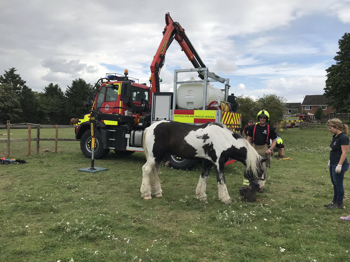 SuffolkFire's tweet photo. Today @SuffolkFire Crews from Sudbury &amp; Bury st Edmunds worked together to rescue family pet ‘Ed’ after he became trapped under a fence and was unable to get up #notjustfires Big Thank you to Helen @CatleyCrossVets Ed can be seen with his new best friend Firefighter Beckwith👍 https://t.co/YKUoCQg3ce