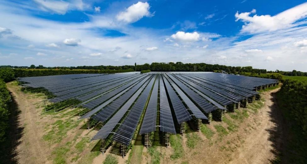 EarthAccounting's tweet image. Special #solar panels for agrivoltaics revolution-green.com/special-solar-…