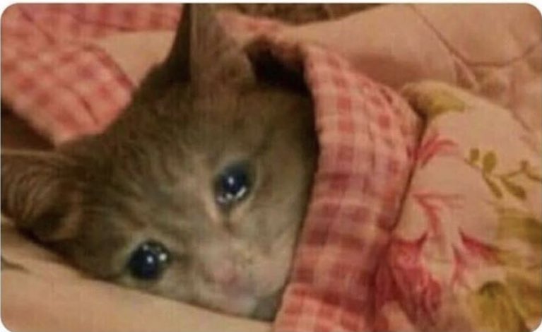 surteinavida's tweet photo. Eu chorando depois de ouvir uma música triste em inglês que eu nem sei a tradução https://t.co/gjTlLsvY0r