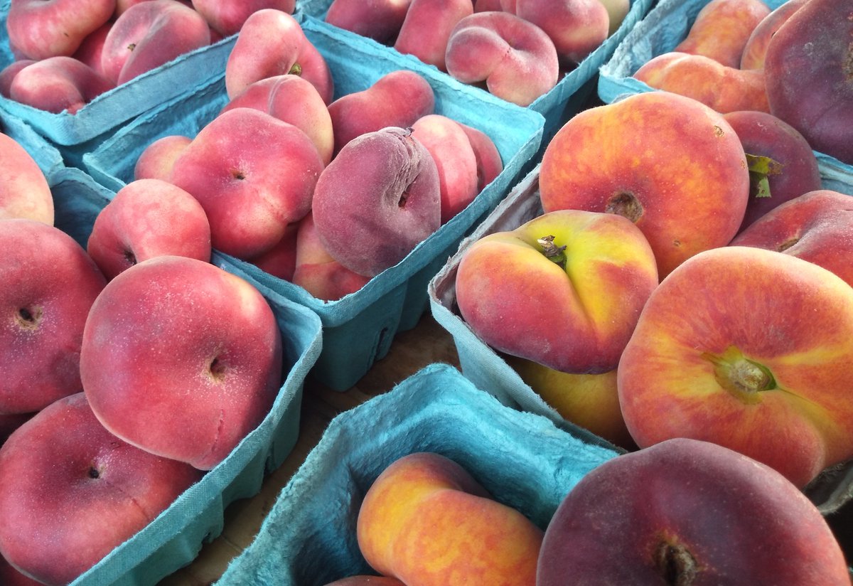 KernanFarms's tweet photo. White or Yellow Donuts! Its peak Peach season at the #Bensonhurst & #UWS Columbus/81st Greenmarkets today! #TreeRipened Nectarines too! https://t.co/KPMZPn3ydp