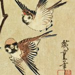 main image of this resource