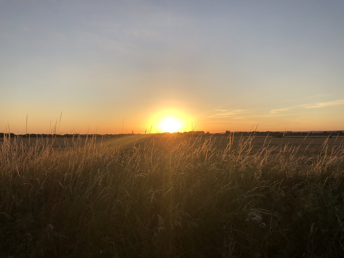 “I only went out for a walk and finally concluded to stay out till sundown, for going out, I found, was really going in.” Muir
Plus - my dog loves me the most now! #winning