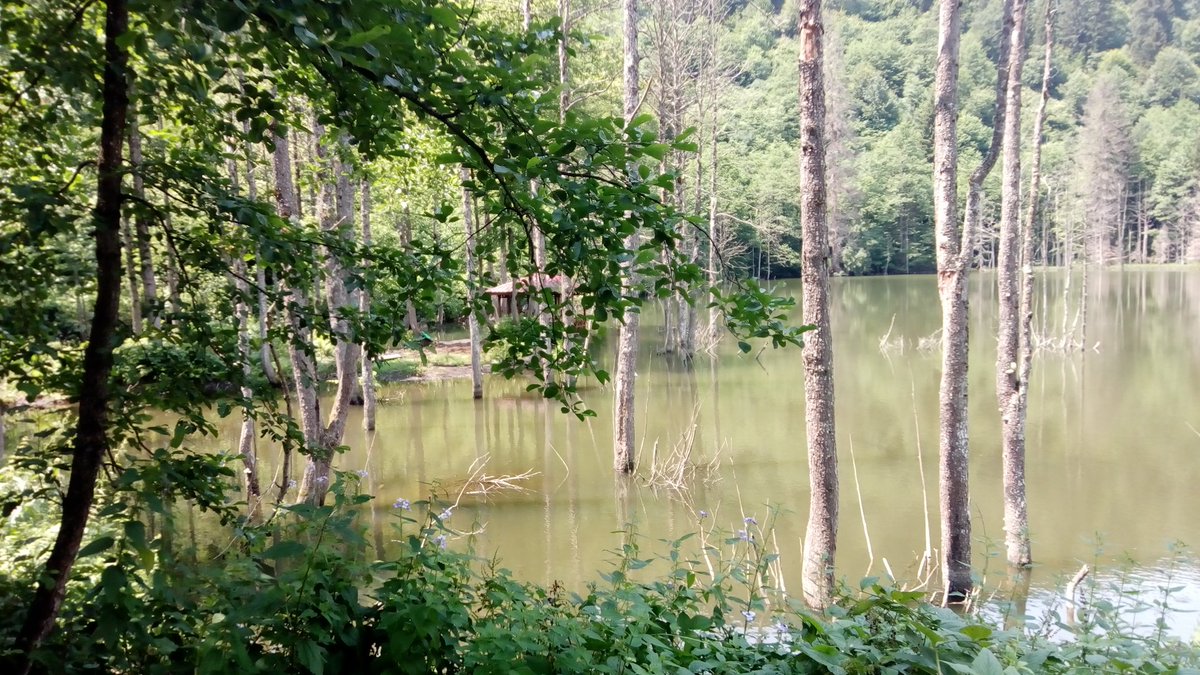 Artvin Borçka Kara göl sevgi ve selamlar