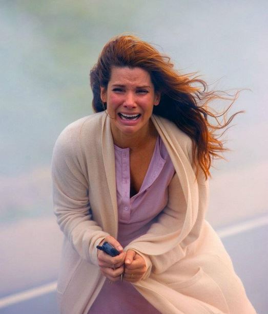 OneMovieToday tweet media