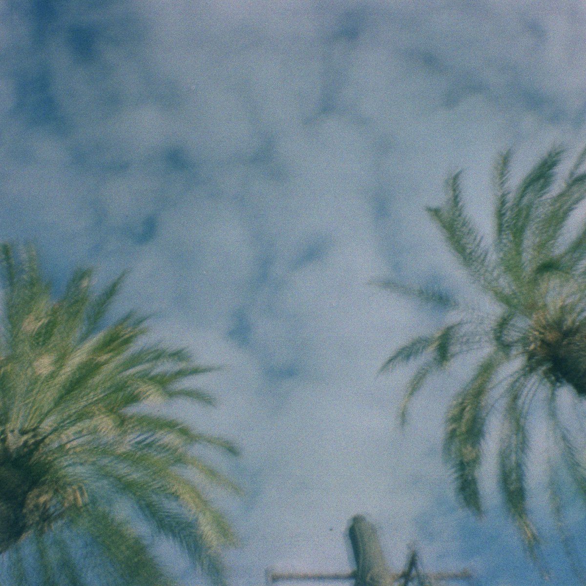 Candela 🌿 tweet media