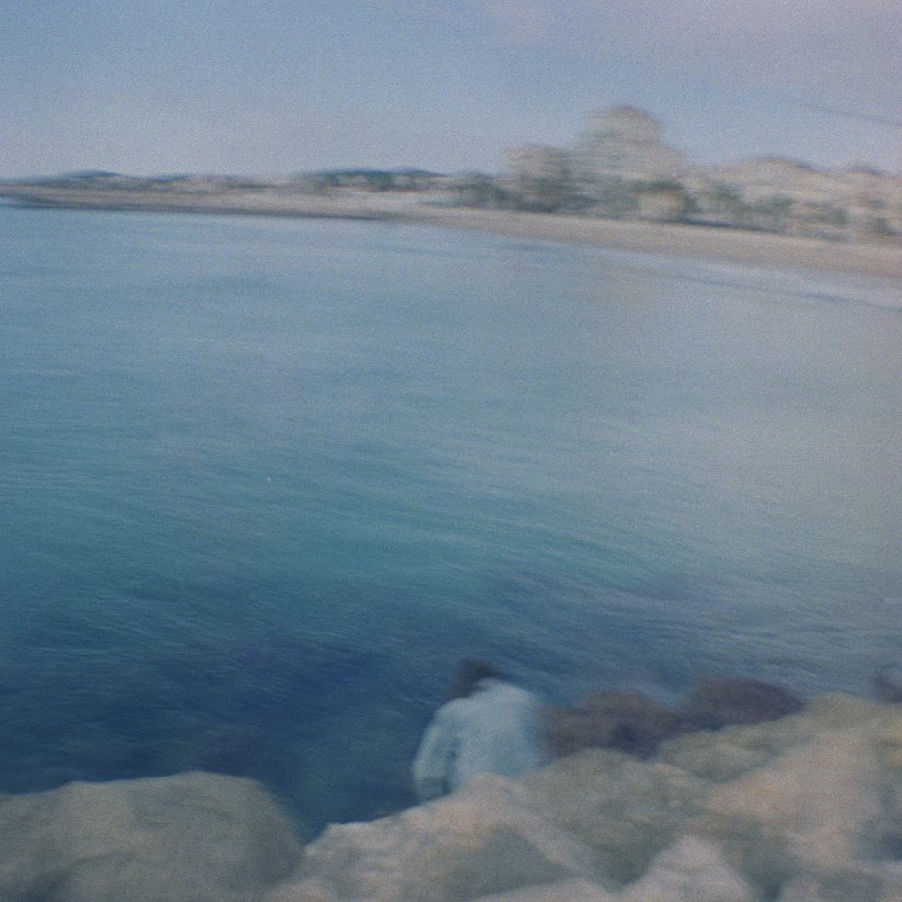 Candela 🌿 tweet media