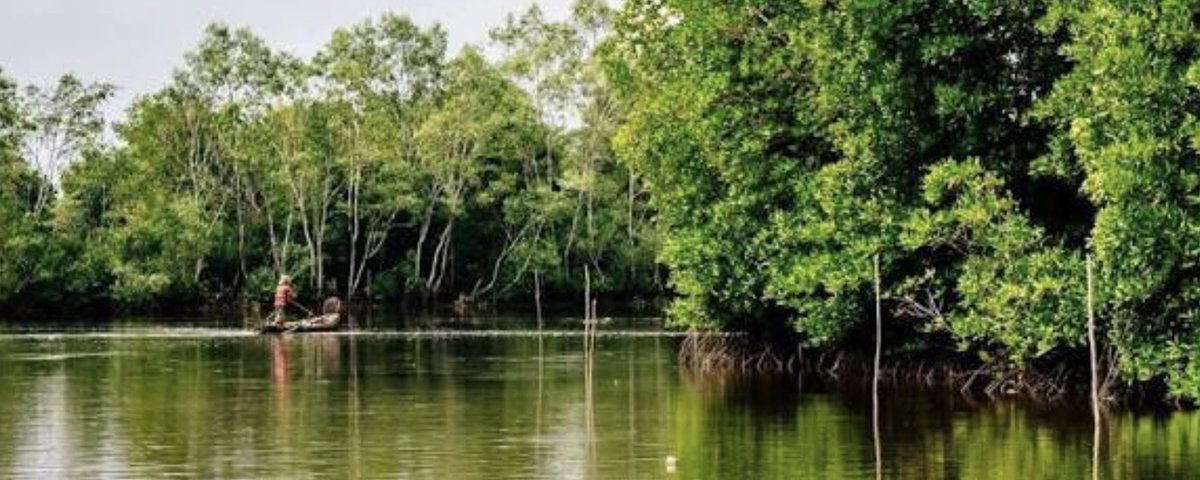 sharon_ikeazor's tweet photo. As a country Nigeria is committed to the implementation of Mangrove Ecosystems and Livelihoods Action Group under the Commonwealth  Blue Charter @commonwealthsec    💙✔️fair,equitable &amp; inclusive approach to ocean economic development &amp; protection #mangrove #conservation #MELAG https://t.co/OyfB1RrBFQ