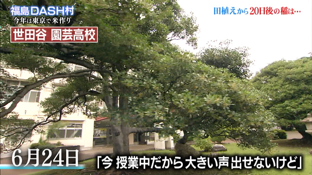 田植え日目 Tokioが園芸高校に作った田んぼの稲が授業にも活用され 太一くんとイノッチが恒例の無農薬農薬作り 鉄腕dash Togetter