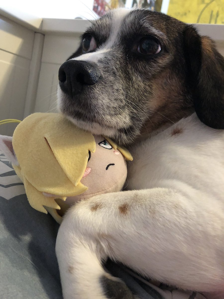 PLUSHYURIO's tweet photo. BEST FRIEND #bestfriend #anitwt #yurio #yurionice https://t.co/gREnL0s5vr