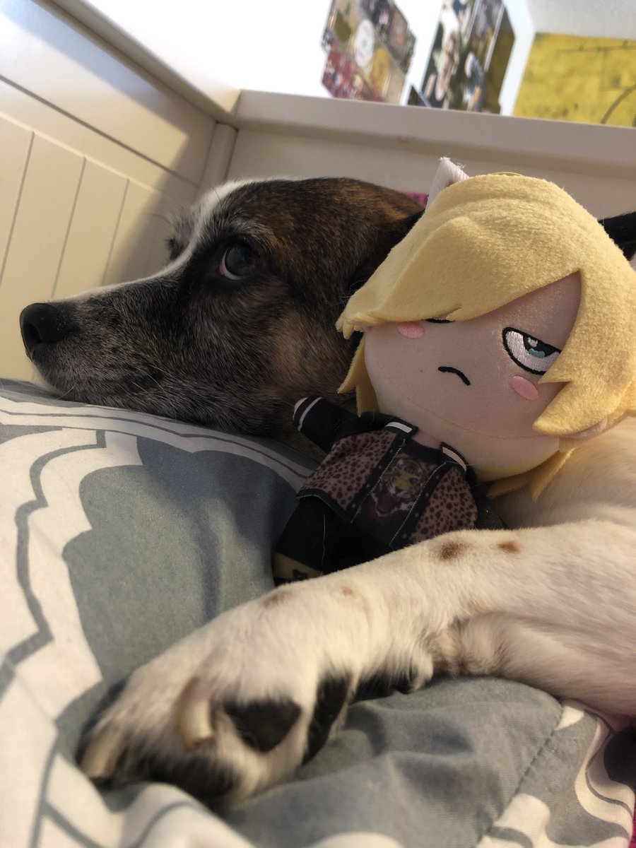 PLUSHYURIO's tweet photo. BEST FRIEND #bestfriend #anitwt #yurio #yurionice https://t.co/gREnL0s5vr