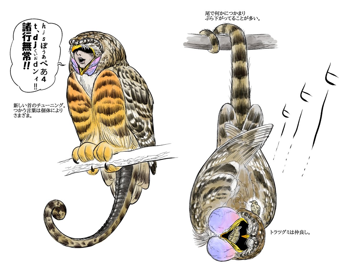 かわいい森の歌姫、鵺です。以前漫画をアップしたんですがいつのまにか消してた…。
#サキとマダラ 
