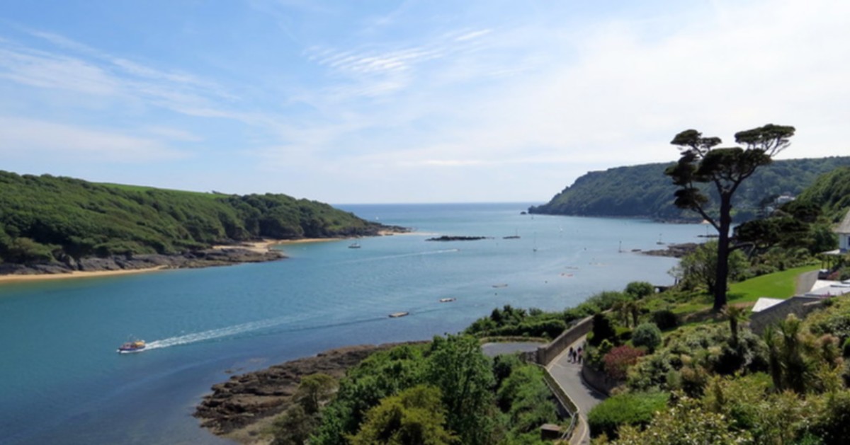 SalcombeBrewery's tweet photo. Salcombe estuary is a breeding ground and safe haven for both British species of seahorse (the Spiny and the Short Snouted seahorse). #Madeofhere #nationalmarineweek https://t.co/wF0LKI8yhv