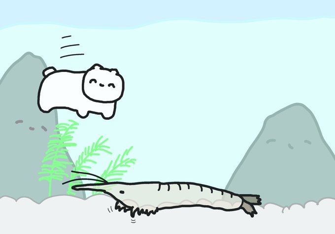 ネコチャンとカワエビ #まいにちネコチャン 