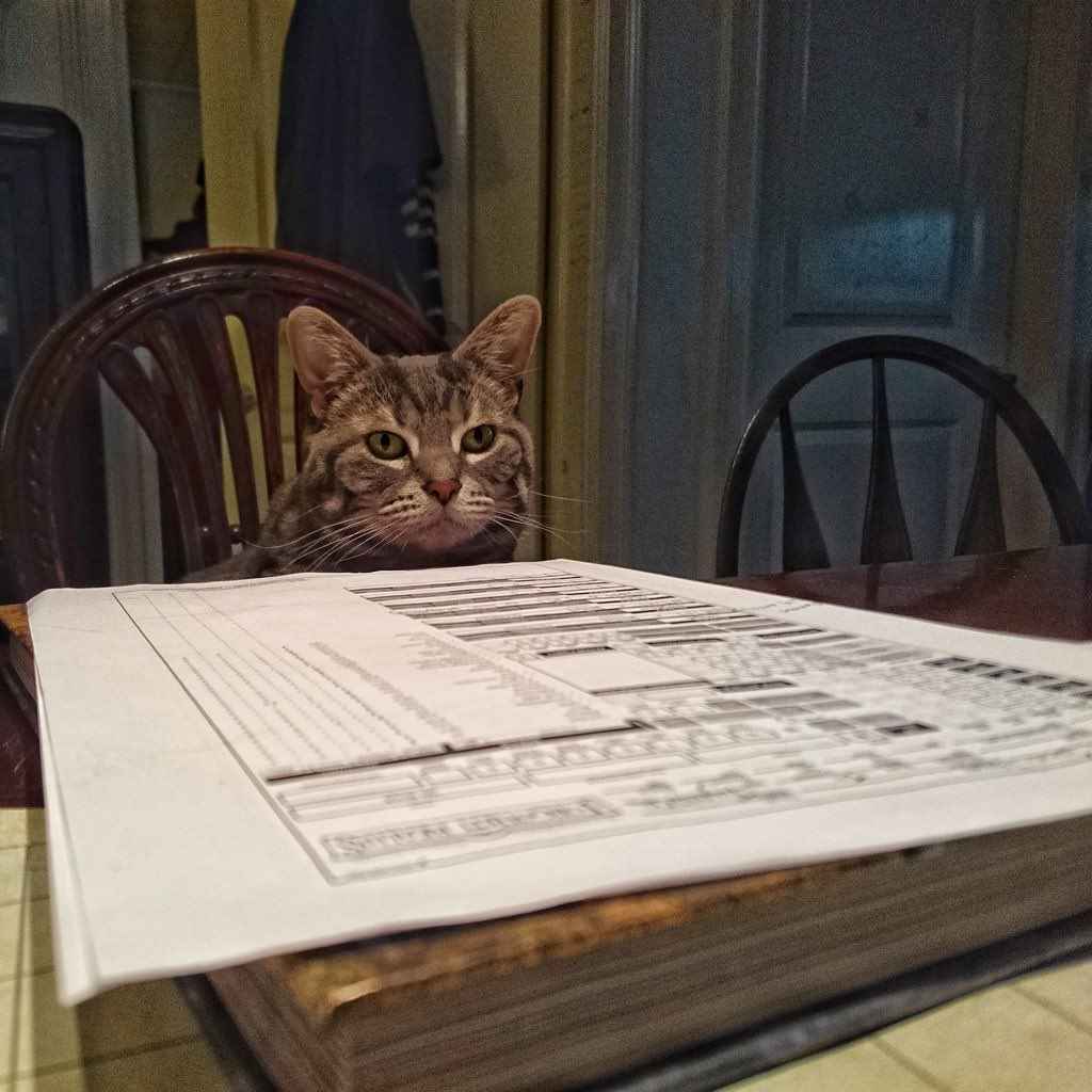 DM: ‘The Ogre is dead - dog, roll Perception’(Success)DM: ‘You spot cat isn’t moving-’Dog: ‘No!’(DM nods)Dog: ‘I bury cat’Cat: ‘Wha-’Dog: ‘Sad at cat’s death, I leave’DM: ’Cat, you awaken, minus one life; it’s dark, you’re running out of air...’Cat: ‘SonOvaBi-’