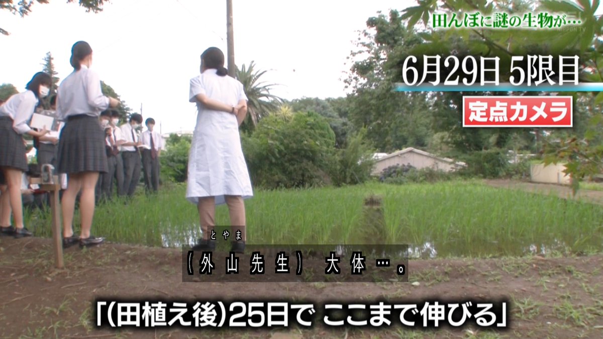 田植え日目 Tokioが園芸高校に作った田んぼの稲が授業にも活用され 太一くんとイノッチが恒例の無農薬農薬作り 鉄腕dash Togetter 田植え日目 Tokioが園芸高校に作った田んぼの稲が授業にも活用され 太一くんとイノッチが恒例の無農薬農薬作り 鉄腕dash Togetter