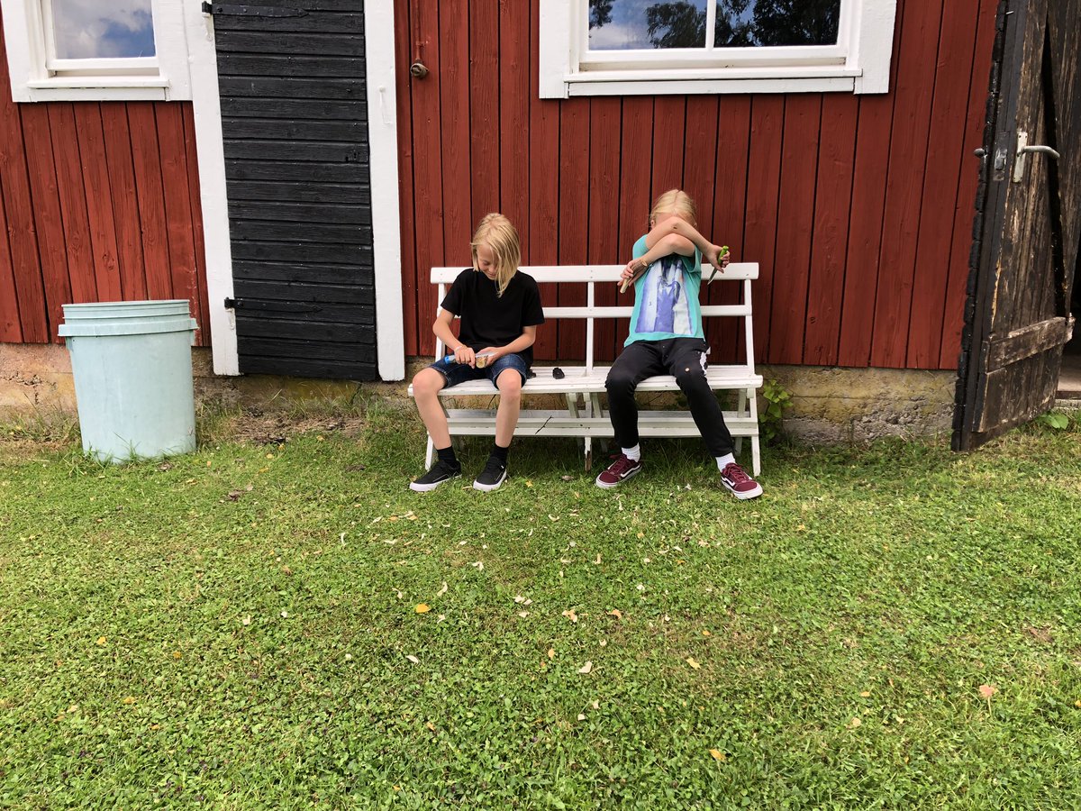 ajennische's tweet photo. Vad tristess ute på landet kan leda till. Båda barnen testar slöjd. #torplife https://t.co/4zWtNvcQEU