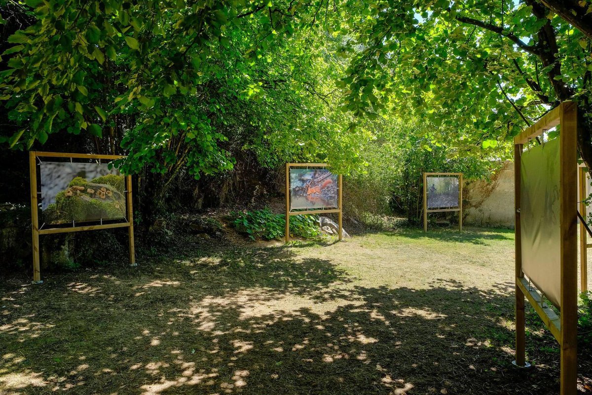 lamayenne's tweet photo. 📍Deux expositions à découvrir en se baladant sur le chemin de halage : 
✅ « Paysages de la vallée de Saint-Calais-du-Désert" à l’écluse de Saint-Baudelle à Moulay 
✅ « Faune et flore de la rivière la Mayenne" à l'écluse de Bas Hambert à Montgiroux https://t.co/t7bOnv9wEG