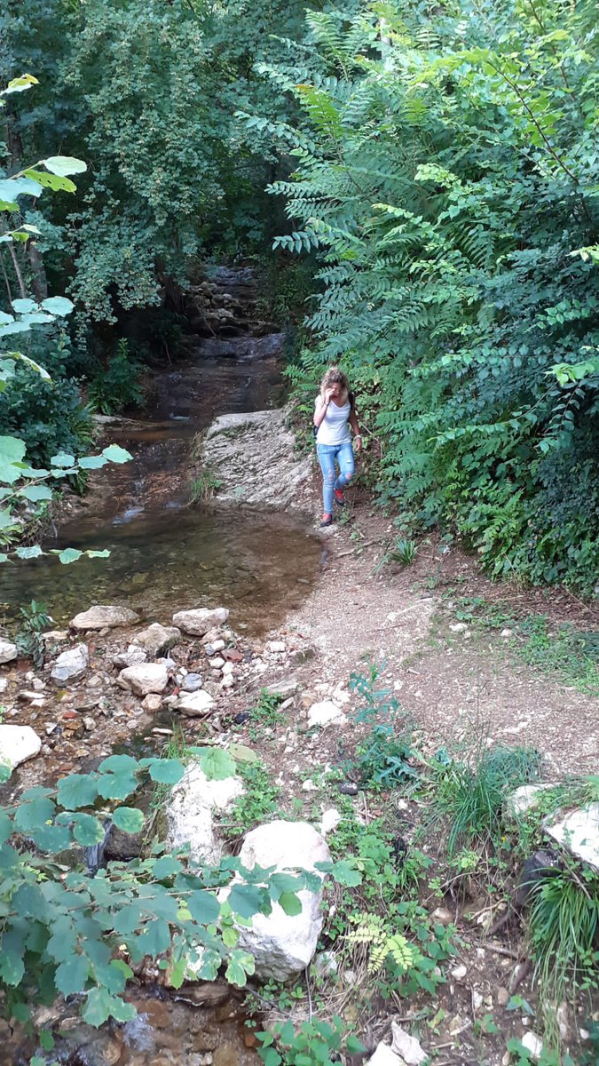 CristinaRod86's tweet photo. #natura #Silan #fiume #cascate #relax @PicnewProfile 🥰🥰🥰🏔🏔🏔😍 https://t.co/ZlOgJfAH1O