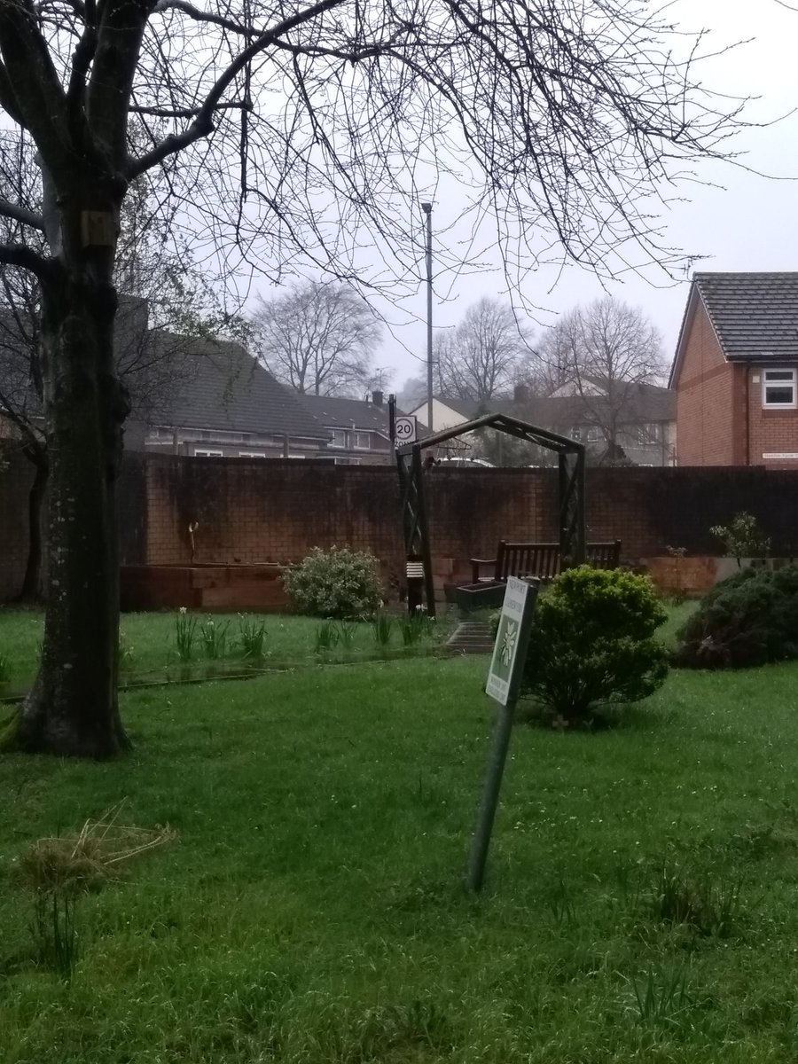 Andywales55uk's tweet photo. This is our big garden before the garden &amp; wildlife project stated up this year &amp; look at it now.🏴󠁧󠁢󠁷󠁬󠁳󠁿🐦🍁🌱🌿😀📷 &amp; me with the wild bird feeder station we got as well https://t.co/Wbtwn1rKG7