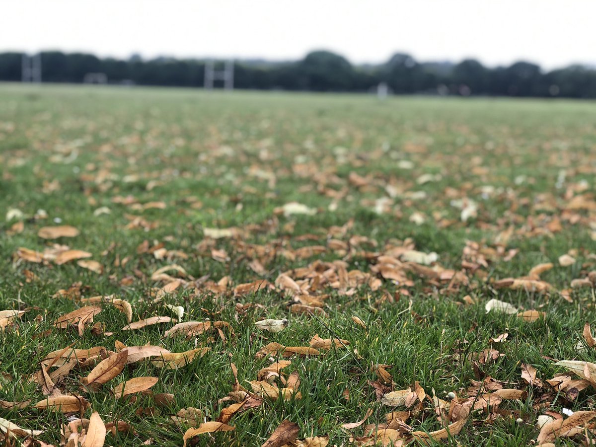 Completely agree, always try to get out into nature, no matter how late in the day the walk is always worth it #Wales #Cardiff #Pontcanna #Porthcawl