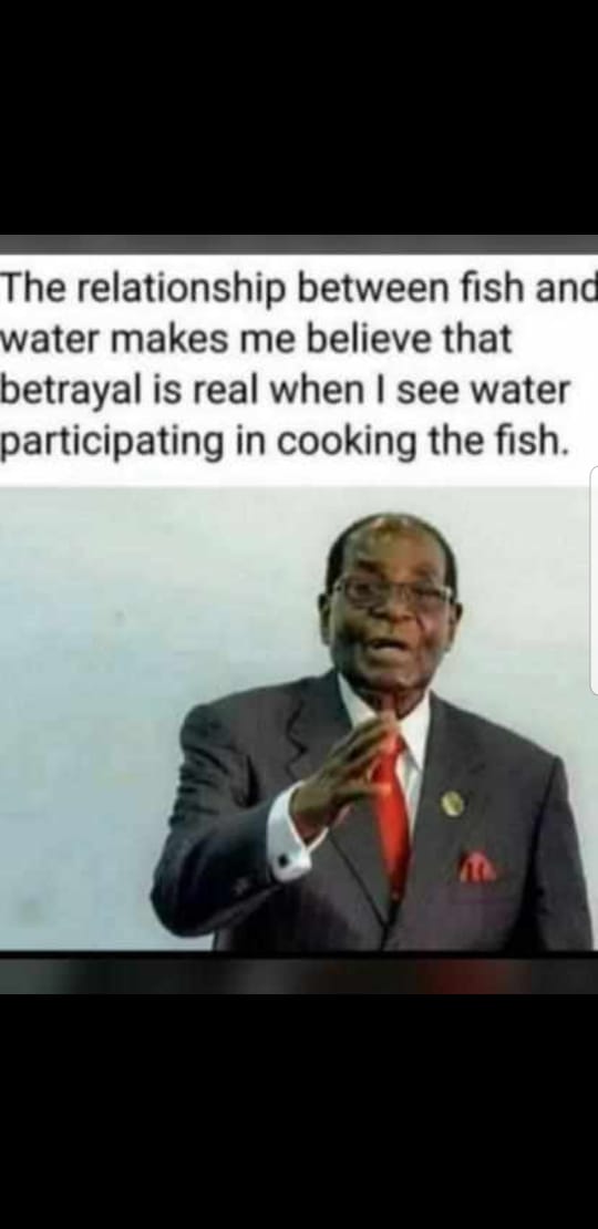 Doctor Ajeje (@doctorajeje) on Twitter photo 