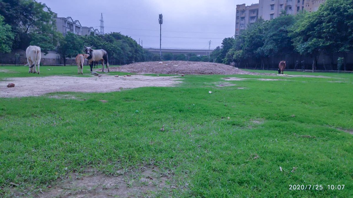 prchandna's tweet photo. @noida_authority Sri Indu Prakash ji
#MyNoida
#MyNoidaPark
#SaveNoidaParks
How About Rain Water Harvesting System in This Park? Dilapidated?
#DoesNA #Has #Money to Maintain it OR Only for New Projects @spgoyal @CeoNoida @Satishmahanaup @PankajSinghBJP @LalSing92629842 @TOINoida https://t.co/JLNf4C4FQv