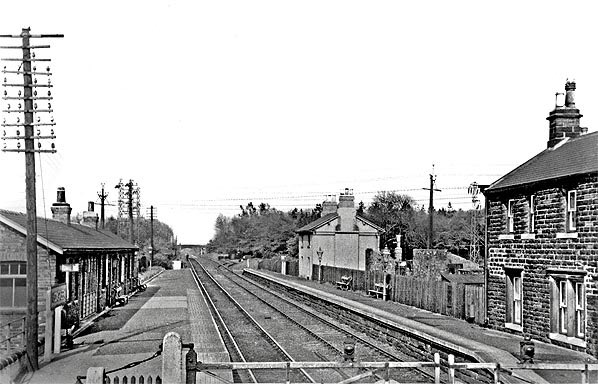 EricWinterPhoto's tweet photo. Victoria Viaduct crossing the River Wear at Penshaw and Penshaw Station (now disappeared) https://t.co/txyBXanxoX