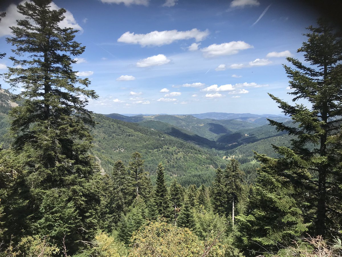 Vandaag in de ardeche gewandeld met mijn vrouw. Genoten van talloze vlinders, bloemrijke wegbermen &amp; akker randen, tsjirpende krekels en sprinkhanen. In het bos een continu  concert van zoemende insecten. Wanneer genieten we daar in NL ook weer van?? #stikstof #biodiversiteit
