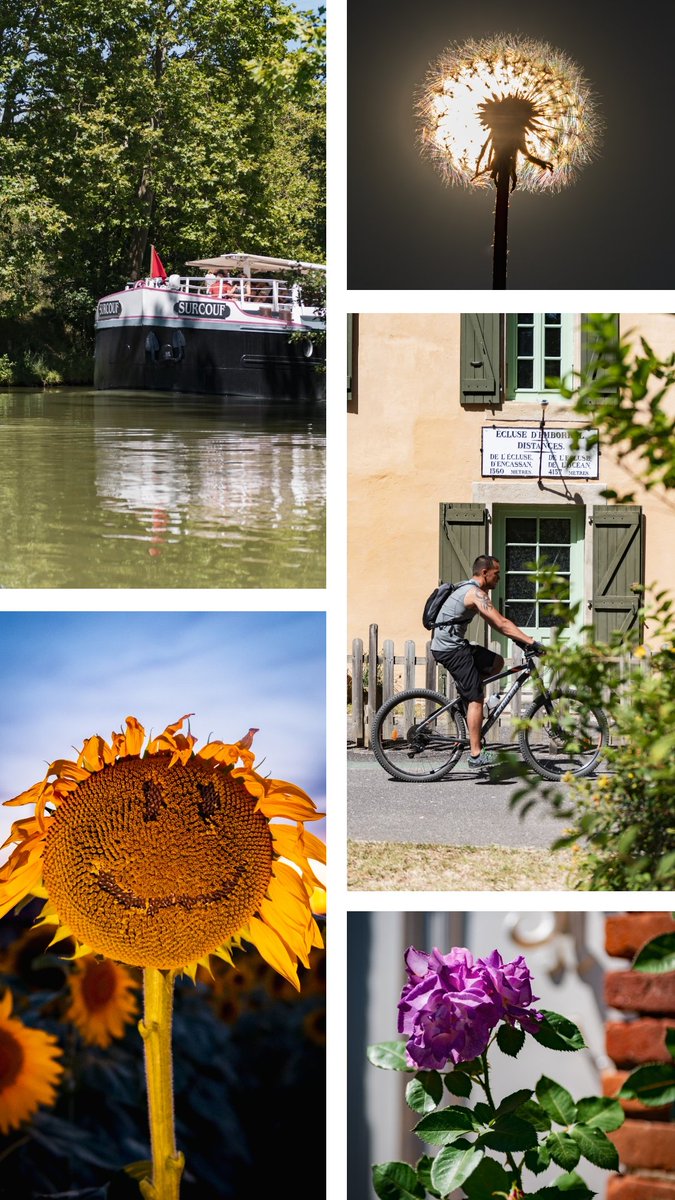 remysirieix's tweet image. Une journée entre Montgeard, Avignonnet et le Canal du Midi 📷

Blogtrip dans #mahautegaronne avec @HauteGaronne @TourismeHG et @AgenceADeque
