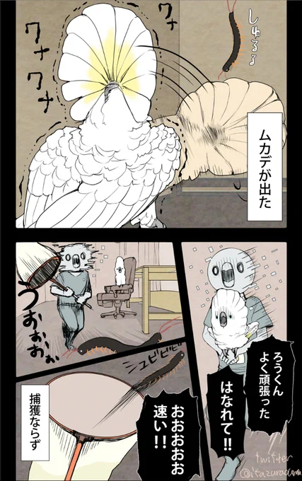 ムカデ☆パニック
#漫画 #オウムは今日も考えている 