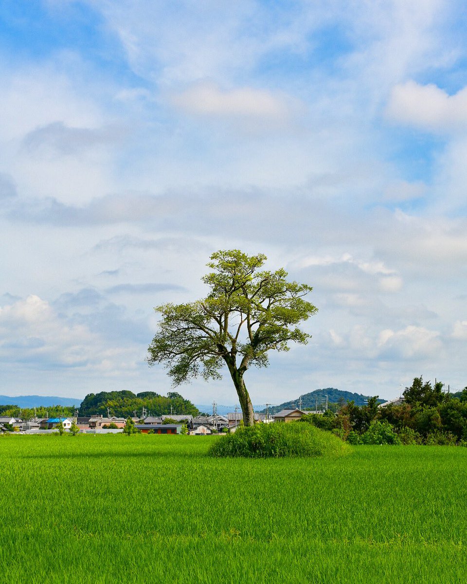 小墾田宮跡