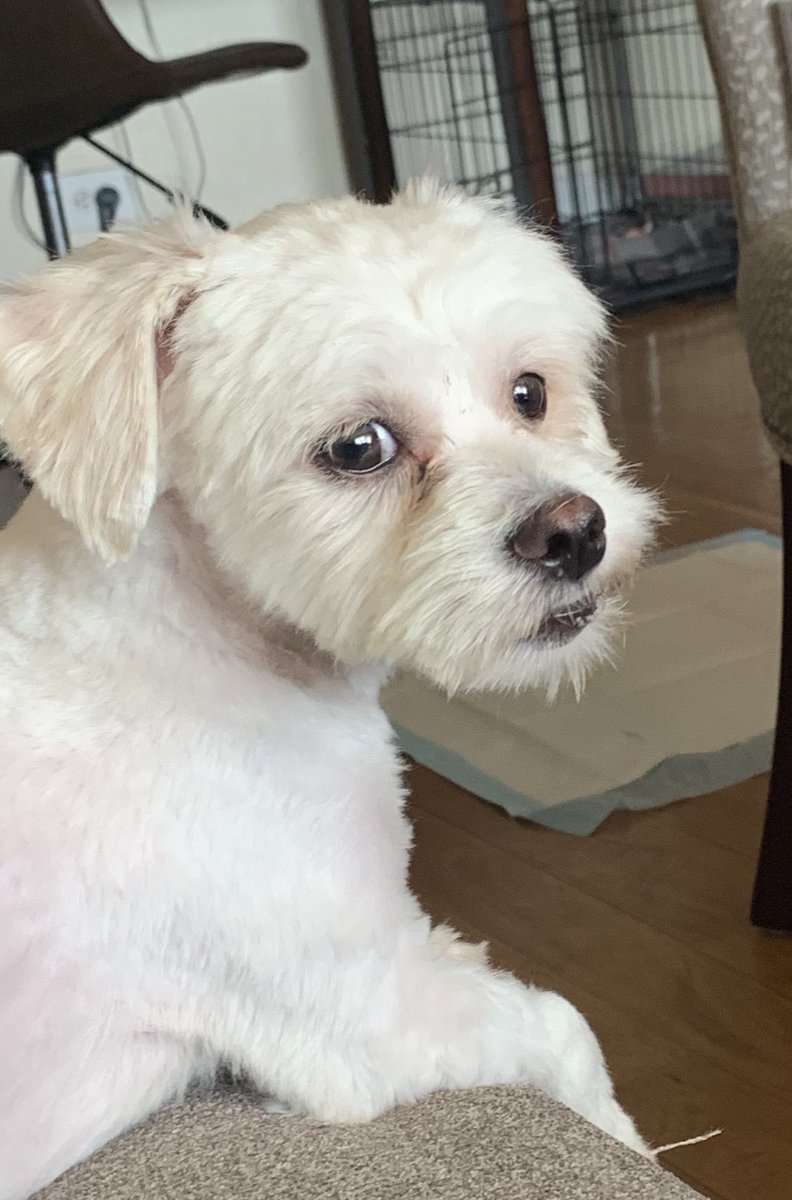 DrSeltzer's tweet photo. @AmyFreeze7 https://t.co/iNGRG4X32b