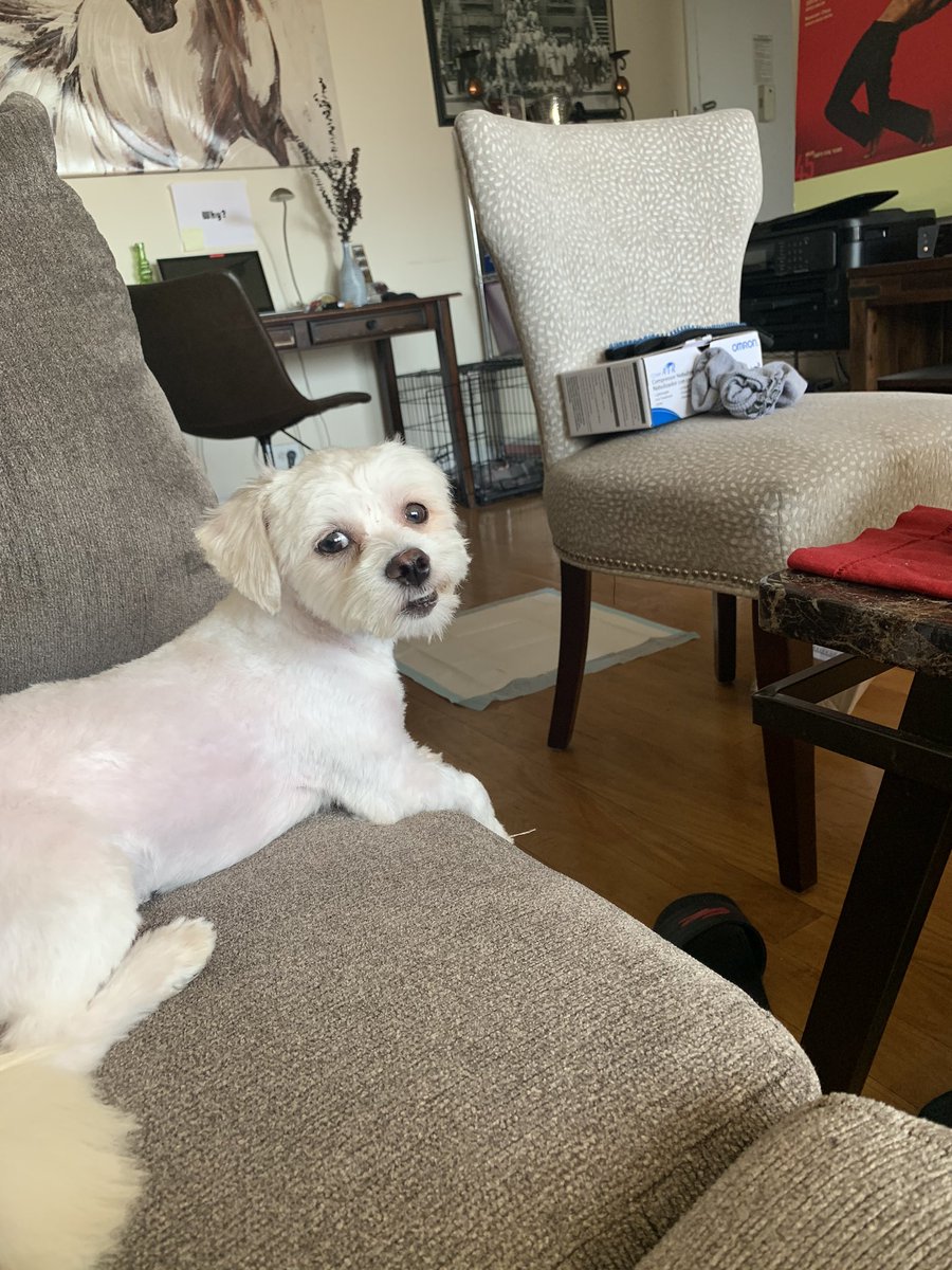 DrSeltzer's tweet photo. @AmyFreeze7 https://t.co/iNGRG4X32b