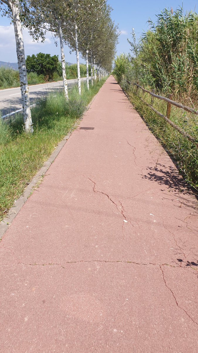 FrankRuiz1900's tweet photo. @GiraltEster @ViladecansTweet Sempre pots aprofitar el camí del mar fent esport i disfrutar de les seves ombres. #36graus #caloret #Viladecans #vb4 https://t.co/zueyZAj5NB