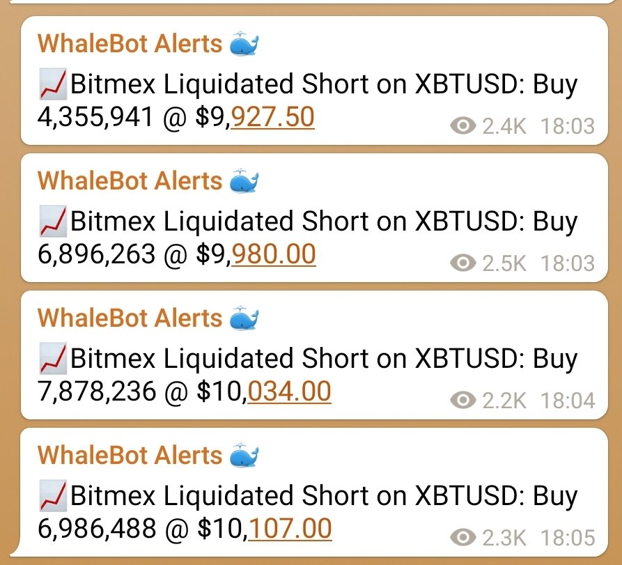 RektStore's tweet photo. Bears are rekt!!!! #BTC https://t.co/RNvSMQSMnu
