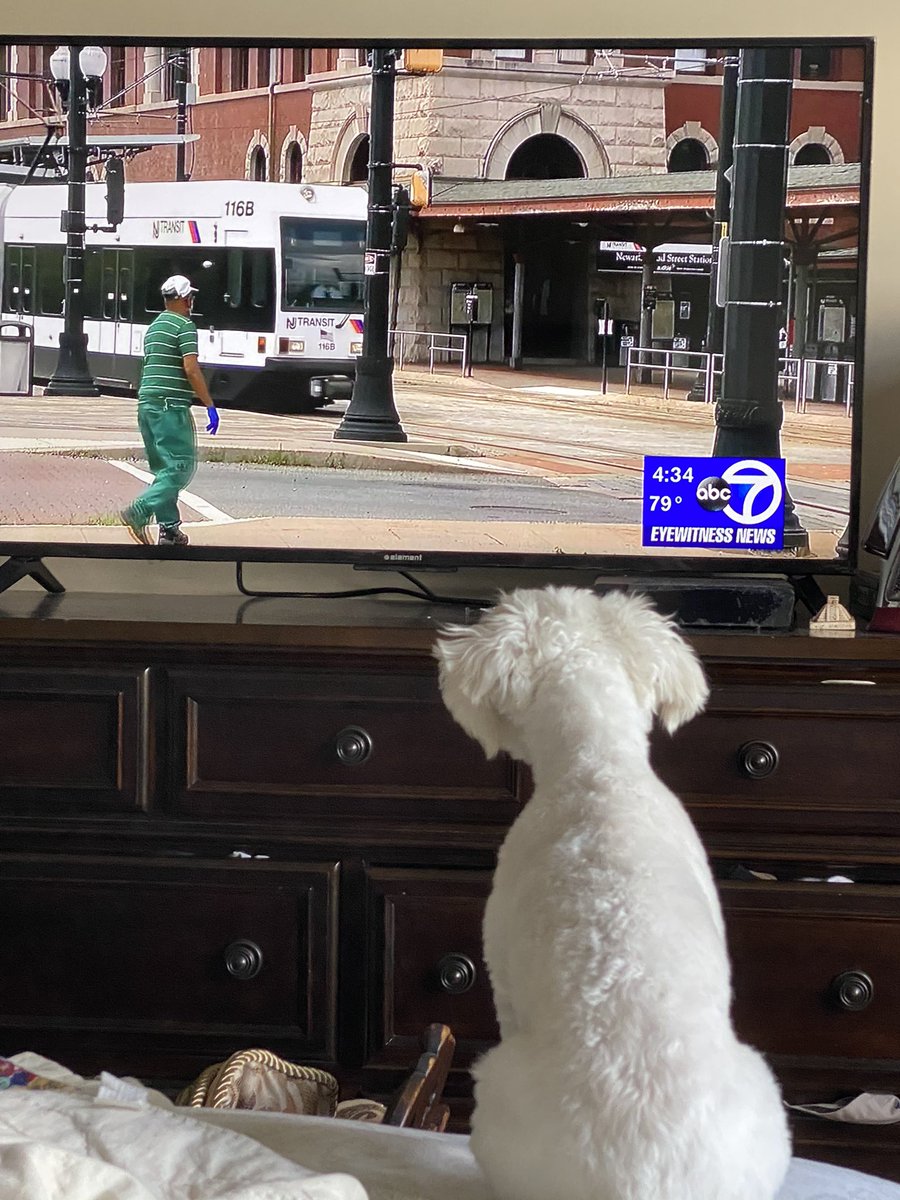 DrSeltzer's tweet photo. Hi Amy. This is my baby Smokey. He was a rescue I found in Long Island tied up to a fence. He’s my pride and joy now. He loves watching channel 7 news with me. He watches it every single night https://t.co/dm6g2OKIxM