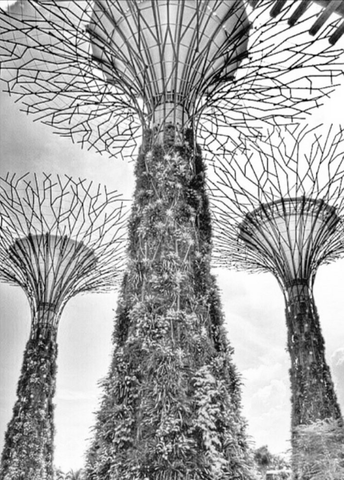 ThilanWijegunar's tweet photo. #Wanderlust #WanderlustXL #OurWorld #ThilanW
RT WanderlustXL: RT De_LostWanderer: #blackandwhitephotography #BnW #bnw_captures #DLWClickz #architecture #photography #photo #photooftheday #COLORLESS #black #white #blue #travel #travelphotography #singapo… https://t.co/K1FvgvOFwe