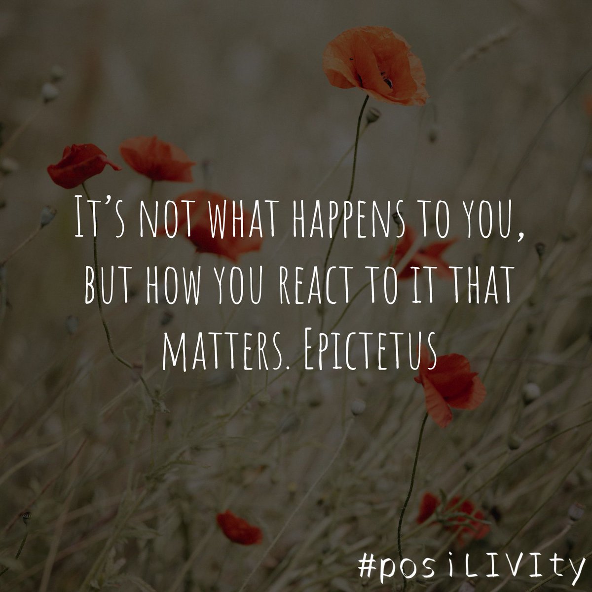 Livi_ITM's tweet photo. Positive quote of the day:
π» #PosiLIVIty https://t.co/7kFZG7HgFr