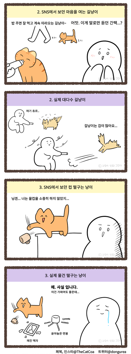 SNS에서 본 고양이와 실제 고양이 