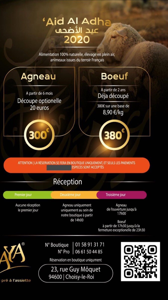 ayabiohalal's tweet photo. Plus quelques agneaux disponibles ! https://t.co/MxuVGooe0D