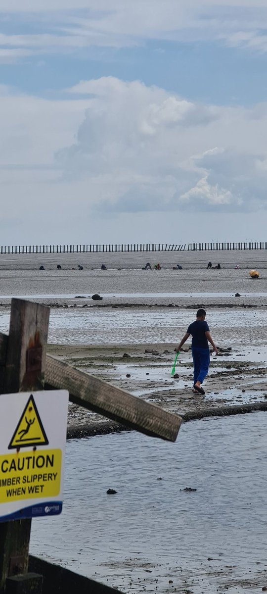 damienedge666's tweet photo. @SouthendPolice people digging for food at Shoebury East Beach https://t.co/1cSi1UtpfU