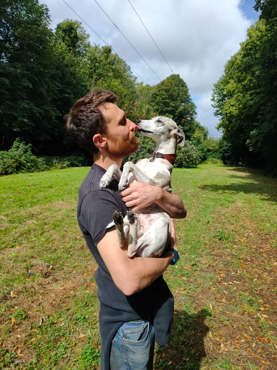 joeltarranvil's tweet photo. Rescueing the damsel in distress. With her sore paw pad she can't possibly walk on this horrible old ground #whippet #dog #dogsofkent https://t.co/Kr69uHtR2P